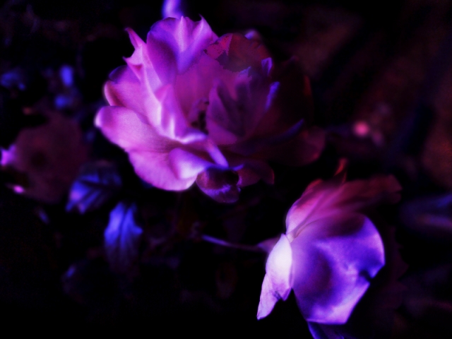 002d8e97154f0ae36e2e09db945ab64f_s