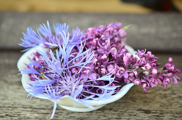 flowers-765781_640
