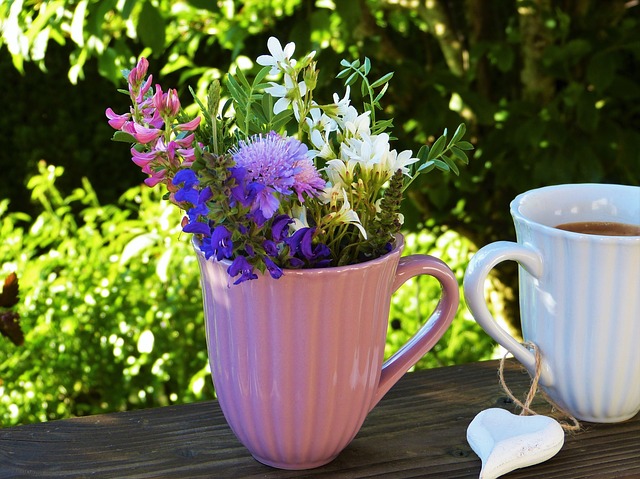 flowers-2333420_640