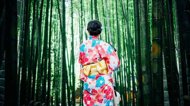 bamboo-trees-1853316_640
