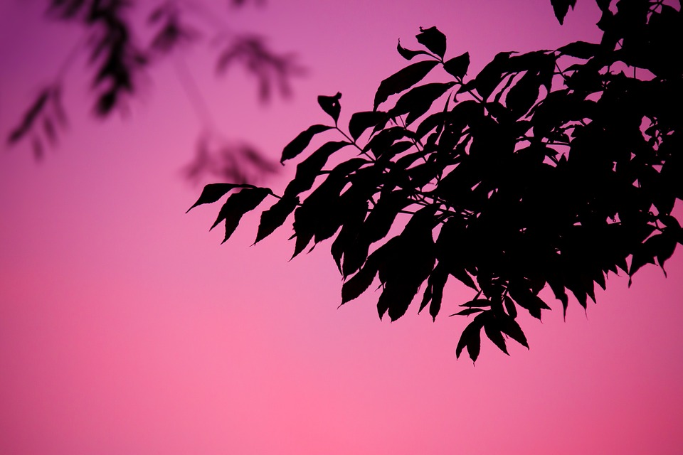 background-20862_960_720