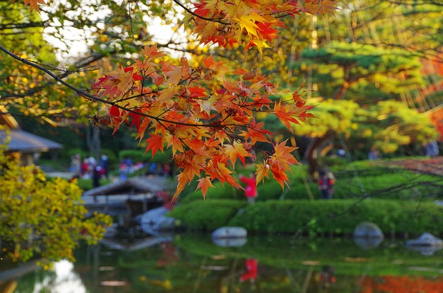 early-autumn-2235485_640
