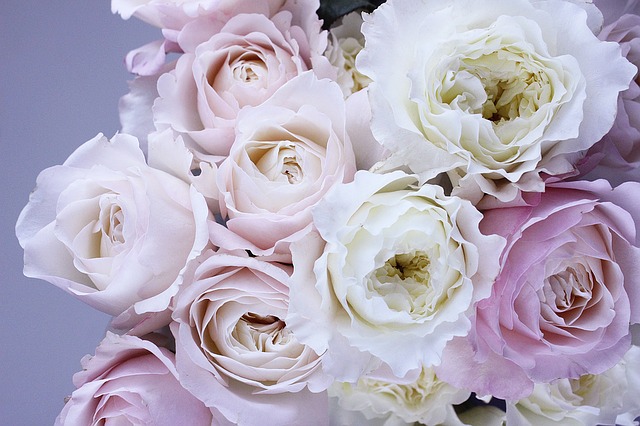 flower-1522260_640