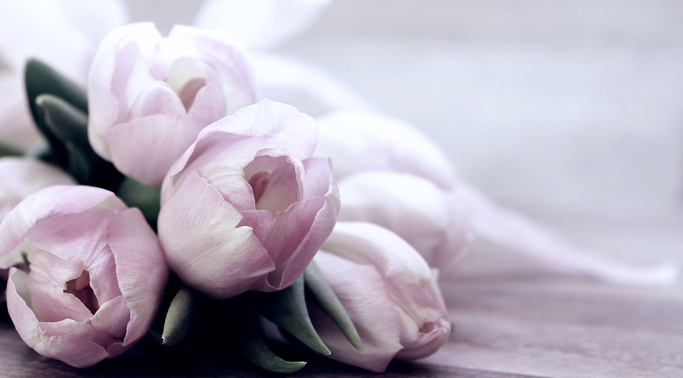 tulips-4072214_960_720