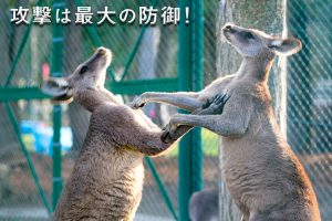 夫の浮気に気づいたら　冷静に反撃したい3つのポイント